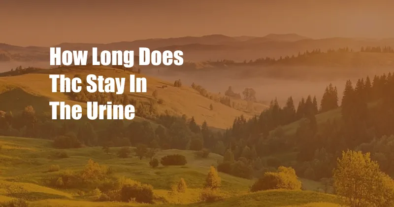 How Long Does Thc Stay In The Urine 