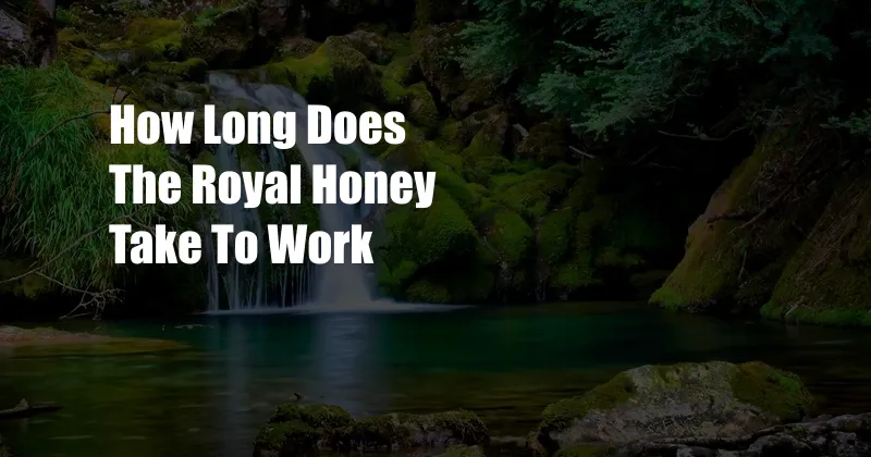 How Long Does The Royal Honey Take To Work