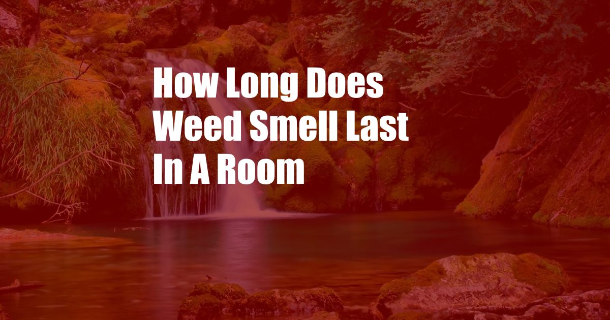 How Long Does Weed Smell Last In A Room