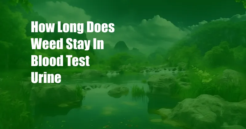 How Long Does Weed Stay In Blood Test  Urine