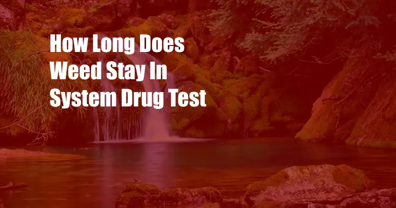 How Long Does Weed Stay In System Drug Test 