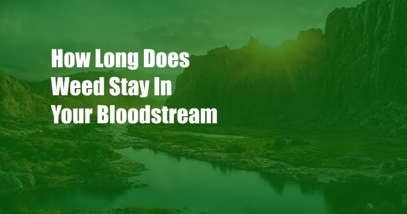 How Long Does Weed Stay In Your Bloodstream 
