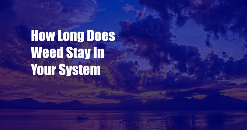 How Long Does Weed Stay In Your System 