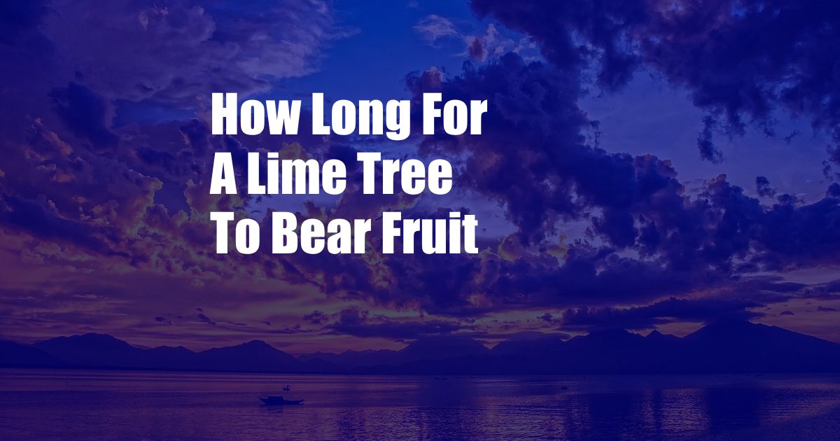 How Long For A Lime Tree To Bear Fruit