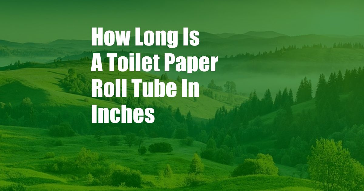 How Long Is A Toilet Paper Roll Tube In Inches