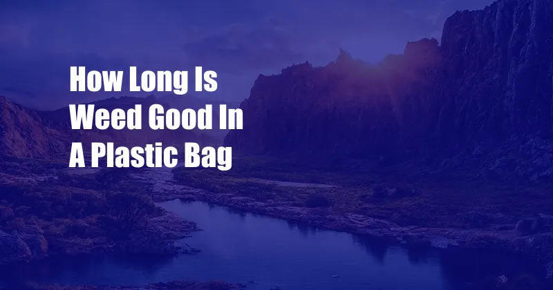 How Long Is Weed Good In A Plastic Bag