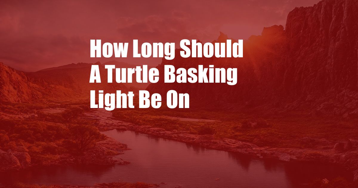 How Long Should A Turtle Basking Light Be On