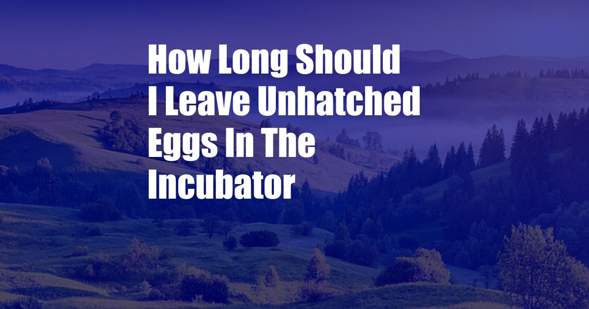 How Long Should I Leave Unhatched Eggs In The Incubator