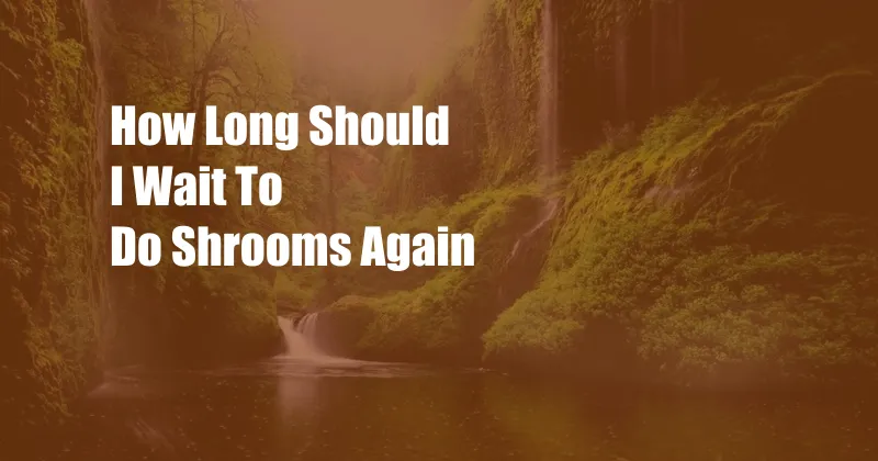 How Long Should I Wait To Do Shrooms Again