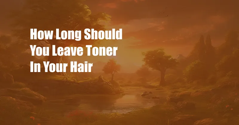 How Long Should You Leave Toner In Your Hair
