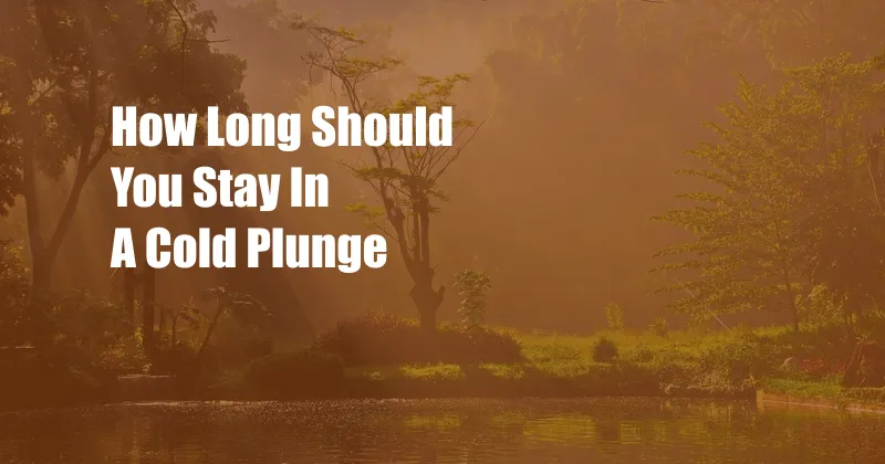How Long Should You Stay In A Cold Plunge