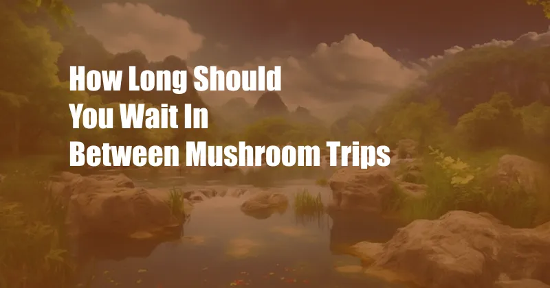 How Long Should You Wait In Between Mushroom Trips