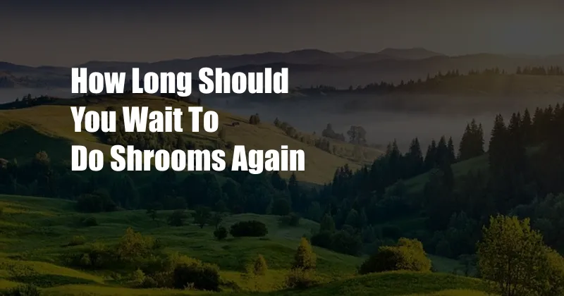 How Long Should You Wait To Do Shrooms Again