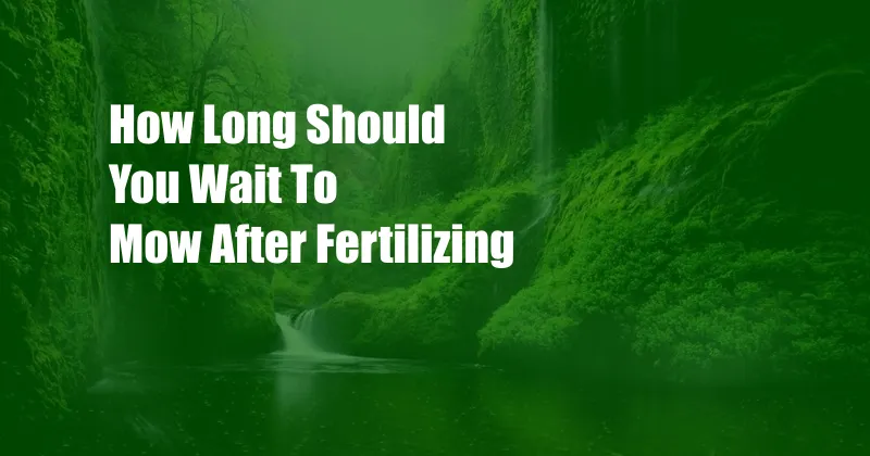 How Long Should You Wait To Mow After Fertilizing