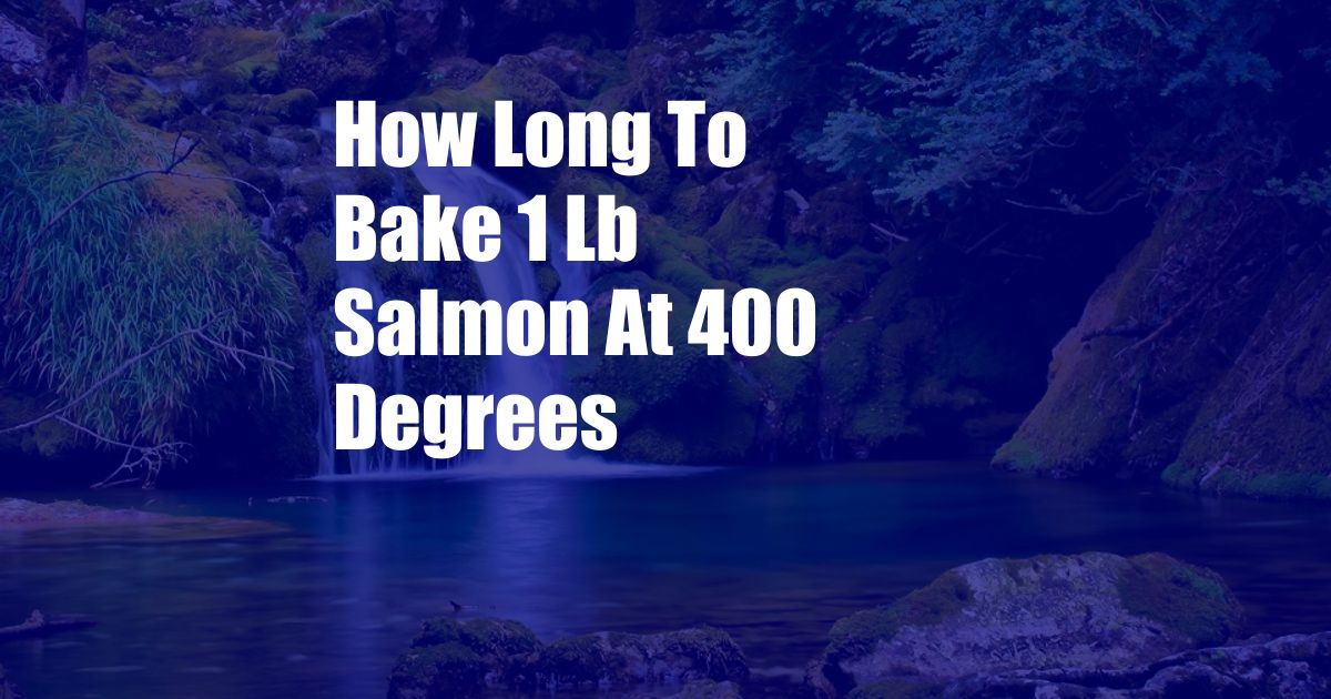 How Long To Bake 1 Lb Salmon At 400 Degrees