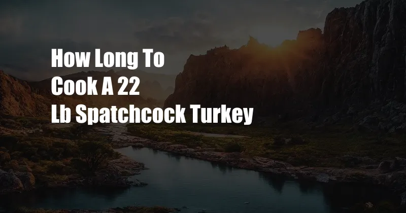 How Long To Cook A 22 Lb Spatchcock Turkey
