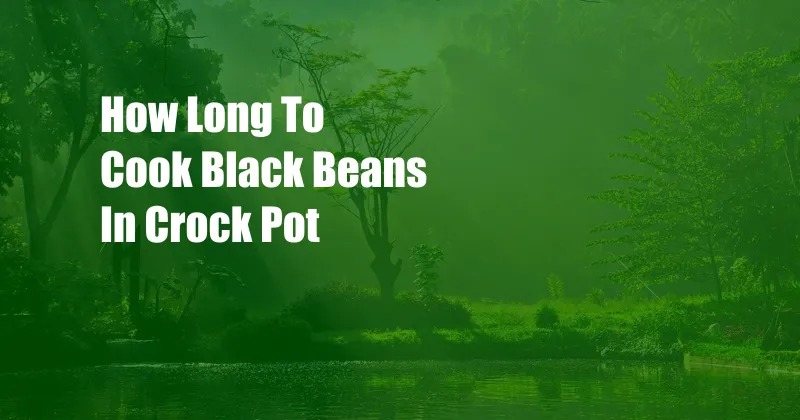 How Long To Cook Black Beans In Crock Pot