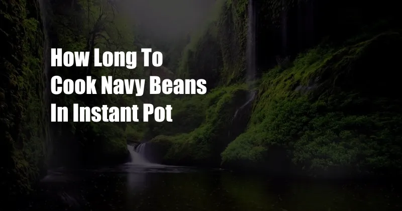 How Long To Cook Navy Beans In Instant Pot