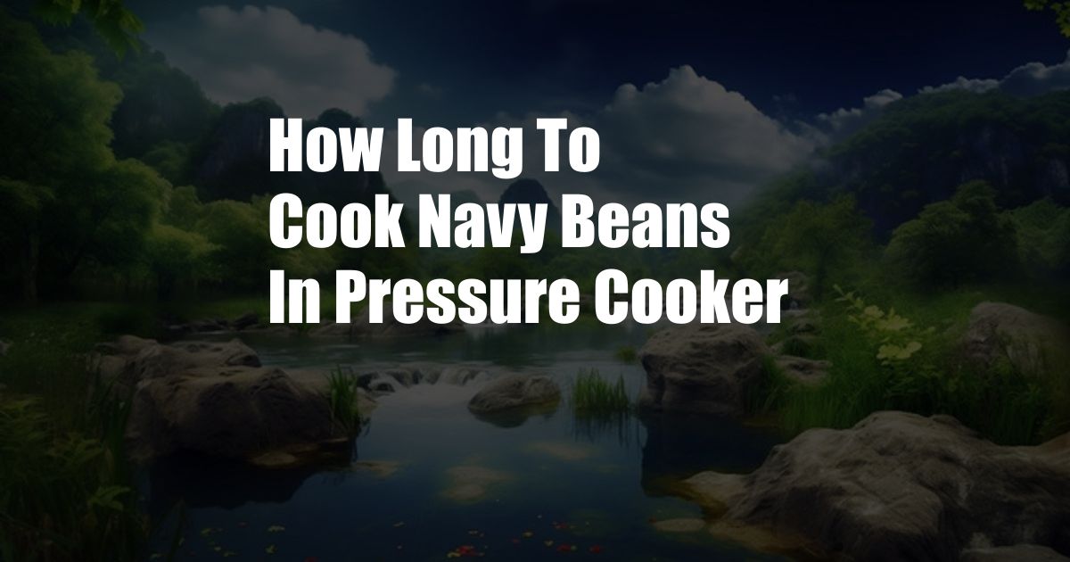 How Long To Cook Navy Beans In Pressure Cooker