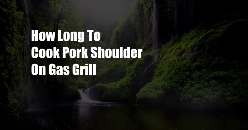 How Long To Cook Pork Shoulder On Gas Grill