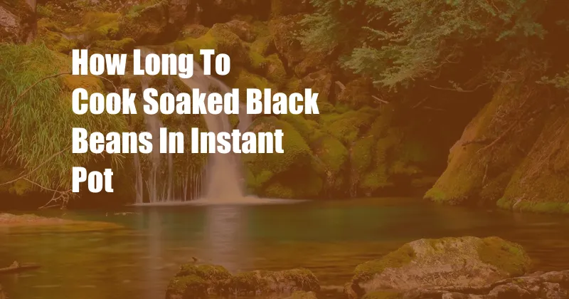 How Long To Cook Soaked Black Beans In Instant Pot