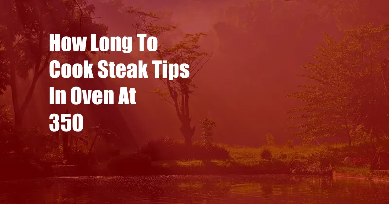 How Long To Cook Steak Tips In Oven At 350