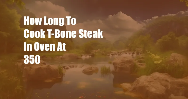 How Long To Cook T-Bone Steak In Oven At 350
