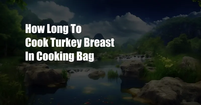 How Long To Cook Turkey Breast In Cooking Bag - Cpazo.com