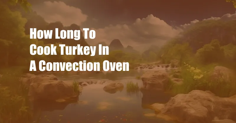 How Long To Cook Turkey In A Convection Oven