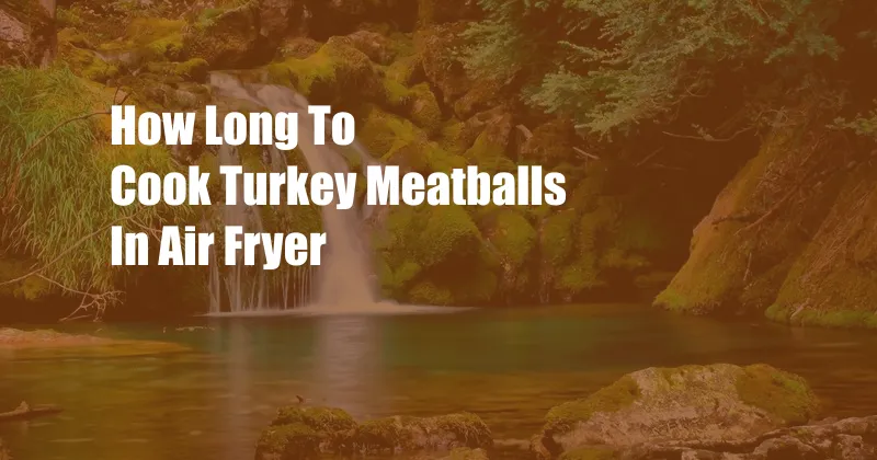 How Long To Cook Turkey Meatballs In Air Fryer