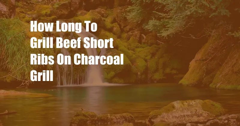 How Long To Grill Beef Short Ribs On Charcoal Grill