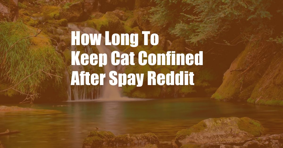 How Long To Keep Cat Confined After Spay Reddit