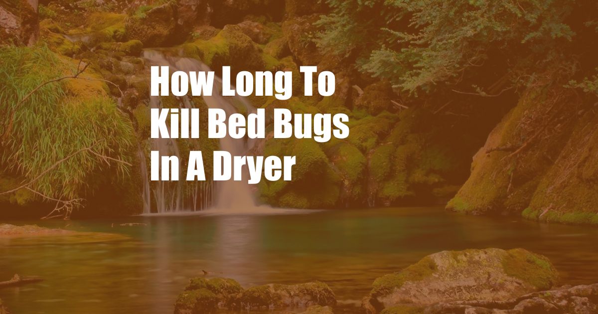 How Long To Kill Bed Bugs In A Dryer