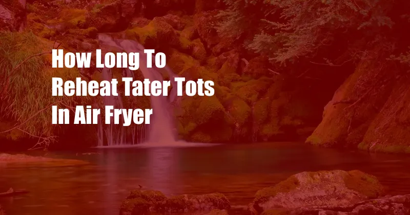 How Long To Reheat Tater Tots In Air Fryer
