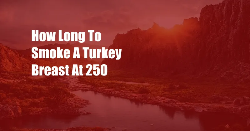 How Long To Smoke A Turkey Breast At 250