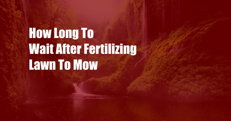 How Long To Wait After Fertilizing Lawn To Mow