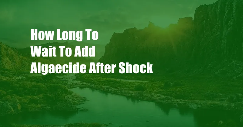 How Long To Wait To Add Algaecide After Shock