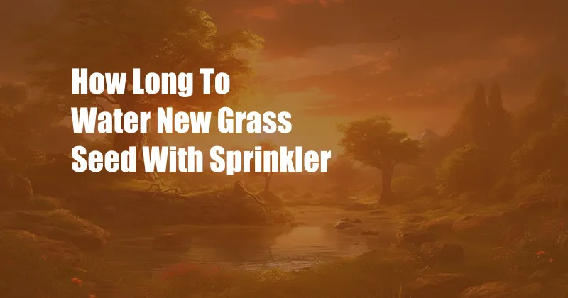 How Long To Water New Grass Seed With Sprinkler