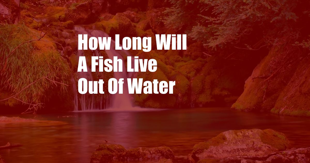 How Long Will A Fish Live Out Of Water