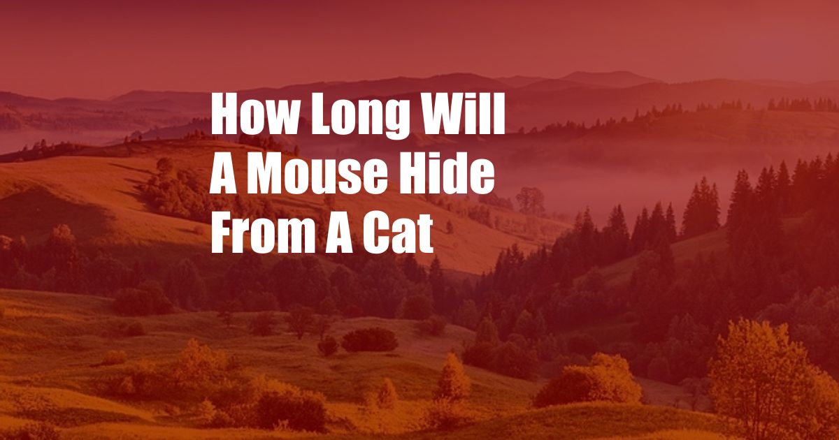 How Long Will A Mouse Hide From A Cat