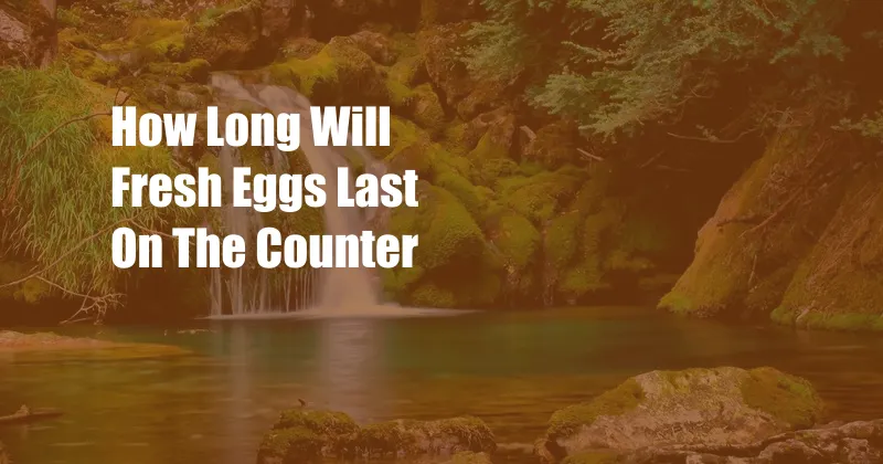 How Long Will Fresh Eggs Last On The Counter