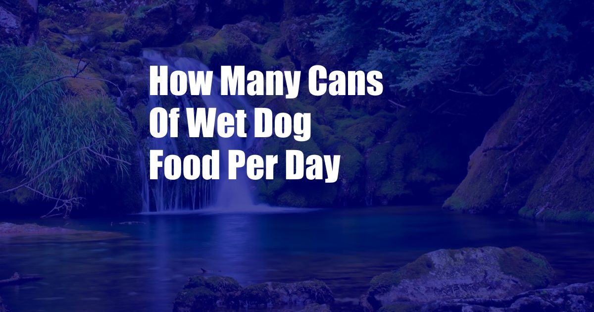 How Many Cans Of Wet Dog Food Per Day