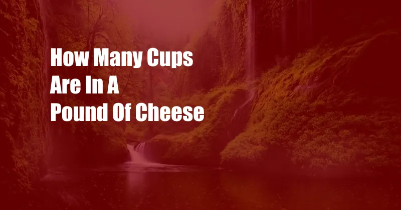 How Many Cups Are In A Pound Of Cheese