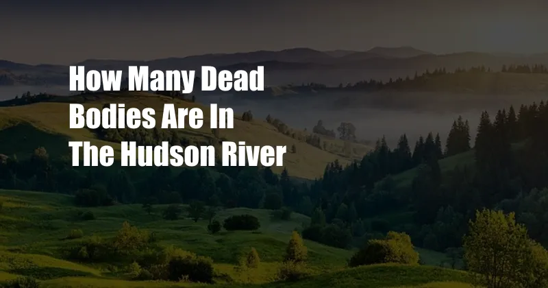 How Many Dead Bodies Are In The Hudson River