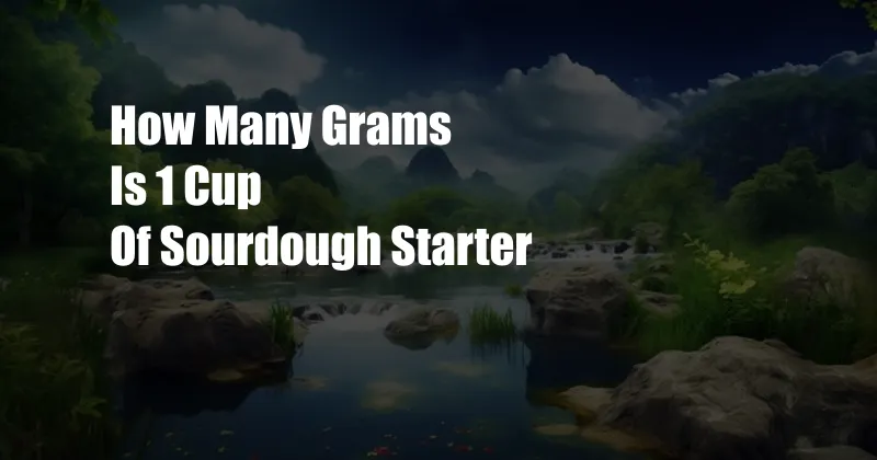 How Many Grams Is 1 Cup Of Sourdough Starter