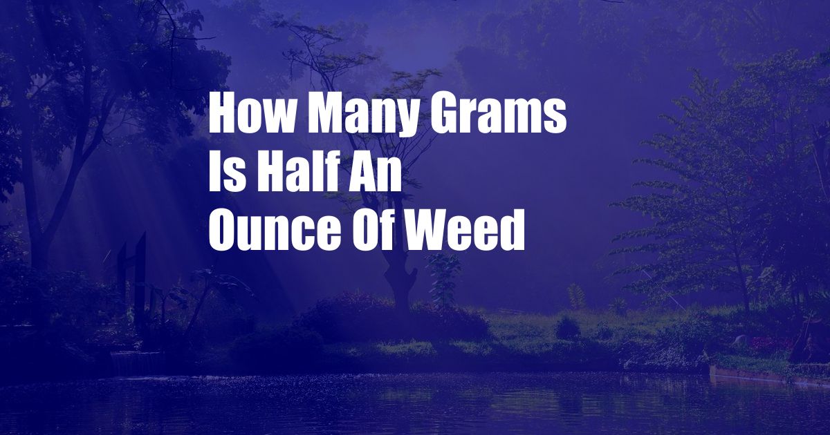 How Many Grams Is Half An Ounce Of Weed