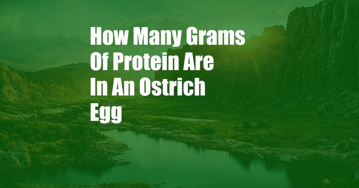 How Many Grams Of Protein Are In An Ostrich Egg