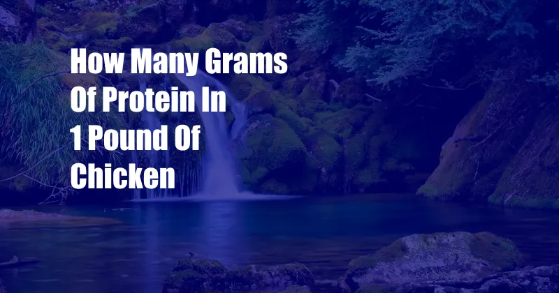How Many Grams Of Protein In 1 Pound Of Chicken