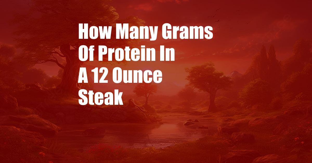 How Many Grams Of Protein In A 12 Ounce Steak