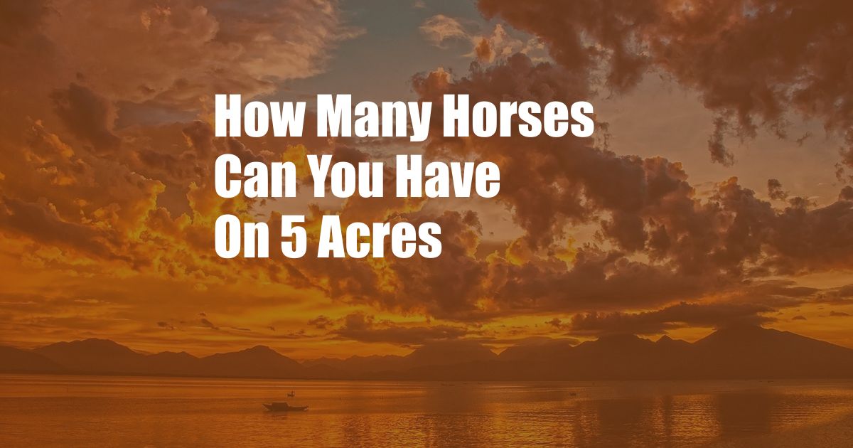 How Many Horses Can You Have On 5 Acres